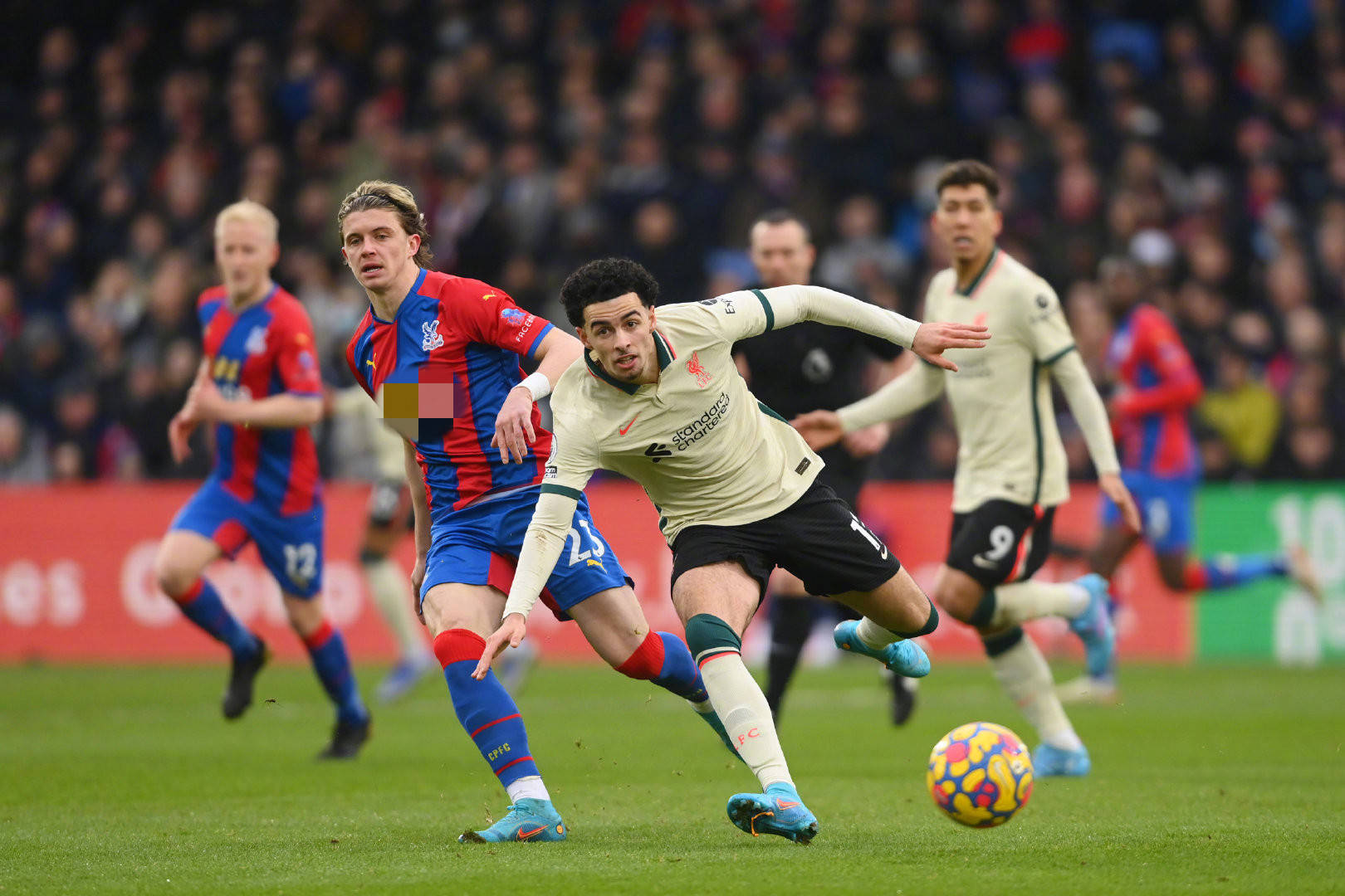 强调团队精 强调团队精